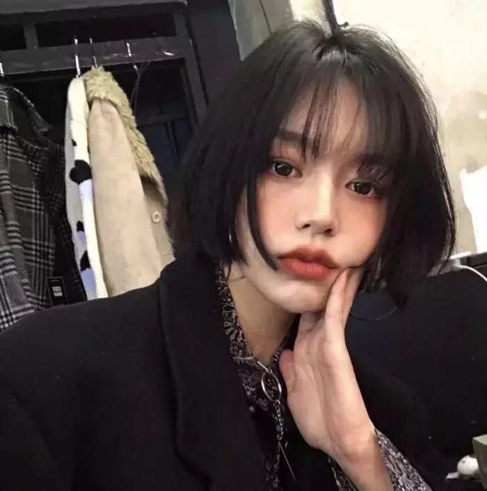 大象菩提